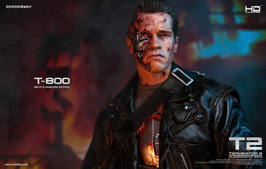 Arnold Schwarzenegger as T 800